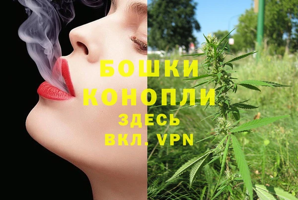 ГАЛЛЮЦИНОГЕННЫЕ ГРИБЫ Арсеньев
