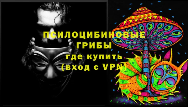 мяу мяу мука Армянск
