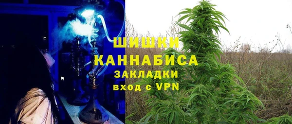 ГАЛЛЮЦИНОГЕННЫЕ ГРИБЫ Арсеньев