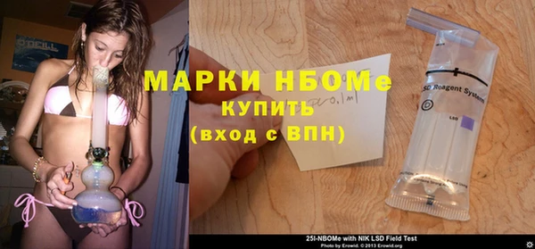 ГАЛЛЮЦИНОГЕННЫЕ ГРИБЫ Арсеньев