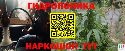 mdma Кингисепп