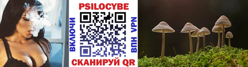сколько стоит  Ступино  Псилоцибиновые грибы Psilocybine cubensis 