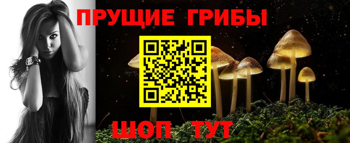 Галлюциногенные грибы ЛСД  магазин  наркотиков  Ступино  Вход с VPN  Псилоцибиновые грибы мицелий 